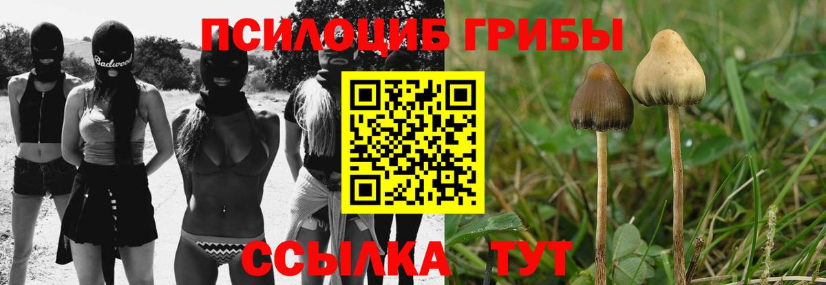 Галлюциногенные грибы Psilocybine cubensis Унеча
